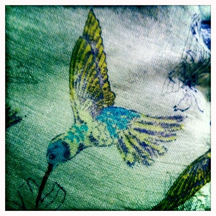 Hummingbird scarf