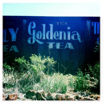 8 Goldenia tea_1928